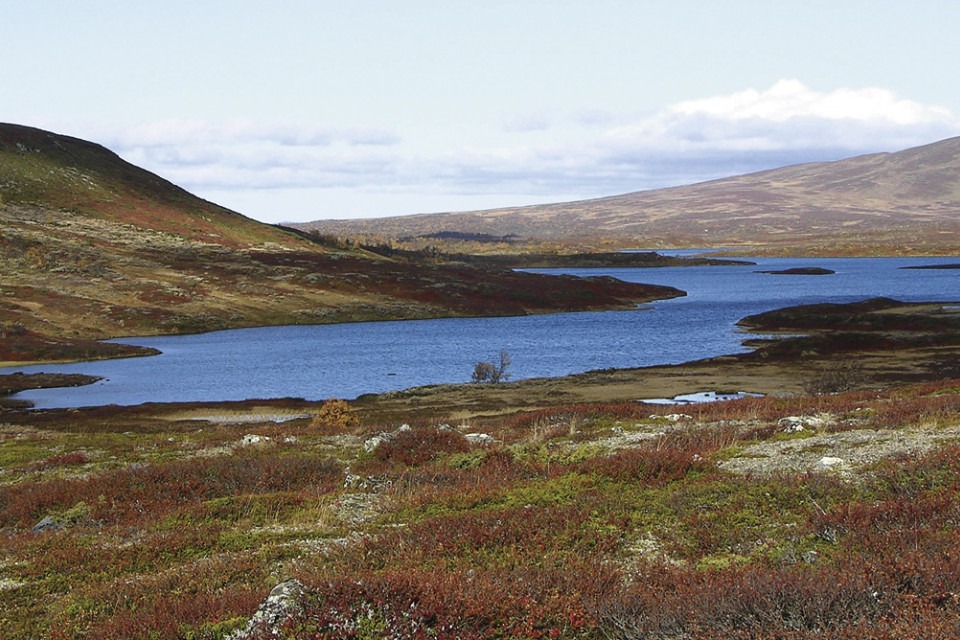 sjö på kalfjället